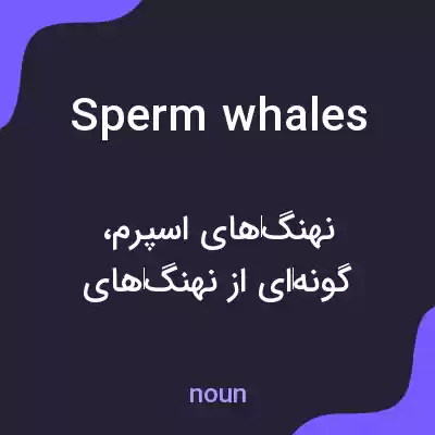 معنی sperm whales به فارسی معنی sperm whales به فارسی