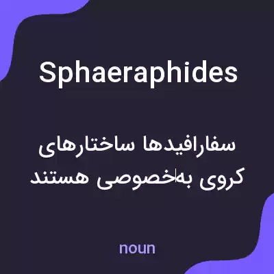 معنی sphaeraphides به فارسی معنی sphaeraphides به فارسی