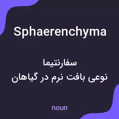 معنی sphaerenchyma به فارسی معنی sphaerenchyma به فارسی
