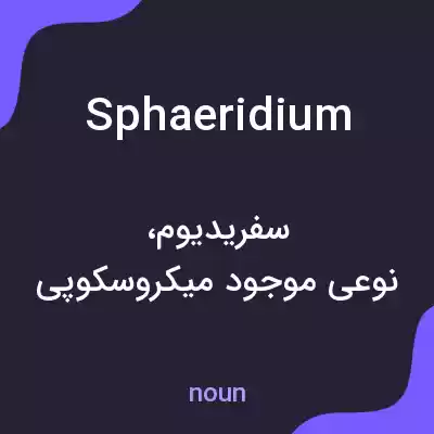 معنی sphaeridium به فارسی معنی sphaeridium به فارسی