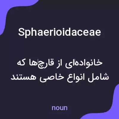 معنی sphaerioidaceae به فارسی معنی sphaerioidaceae به فارسی