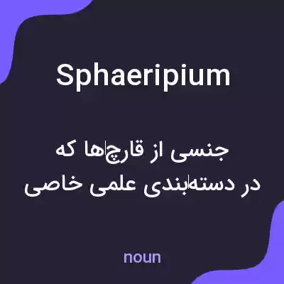معنی sphaeripium به فارسی معنی sphaeripium به فارسی
