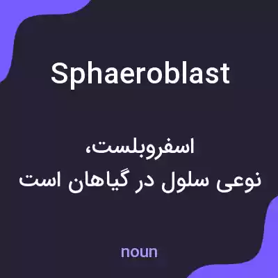 معنی sphaeroblast به فارسی معنی sphaeroblast به فارسی