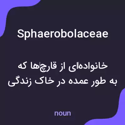 معنی sphaerobolaceae به فارسی معنی sphaerobolaceae به فارسی