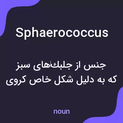 معنی sphaerococcus به فارسی معنی sphaerococcus به فارسی