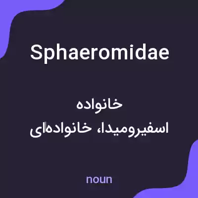 معنی sphaeromidae به فارسی معنی sphaeromidae به فارسی