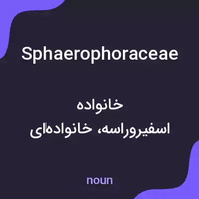 معنی sphaerophoraceae به فارسی معنی sphaerophoraceae به فارسی