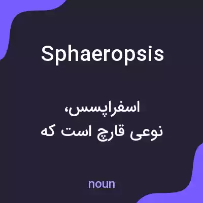 معنی sphaeropsis به فارسی معنی sphaeropsis به فارسی