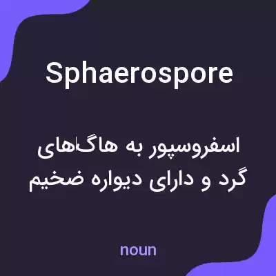 معنی sphaerospore به فارسی معنی sphaerospore به فارسی