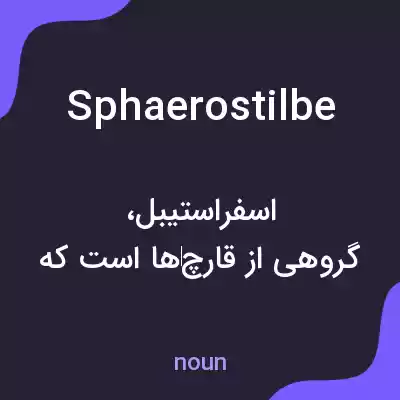 معنی sphaerostilbe به فارسی معنی sphaerostilbe به فارسی
