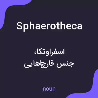 معنی sphaerotheca به فارسی معنی sphaerotheca به فارسی
