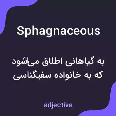 معنی sphagnaceous به فارسی معنی sphagnaceous به فارسی