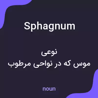 معنی sphagnum به فارسی معنی sphagnum به فارسی