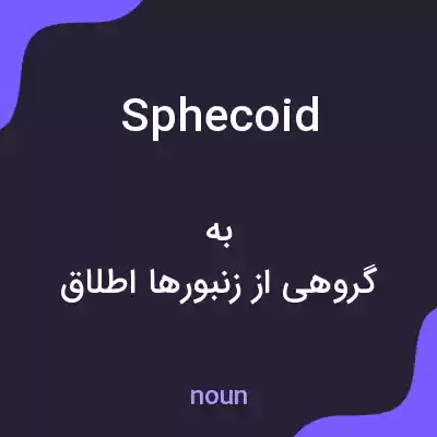 معنی sphecoid به فارسی معنی sphecoid به فارسی