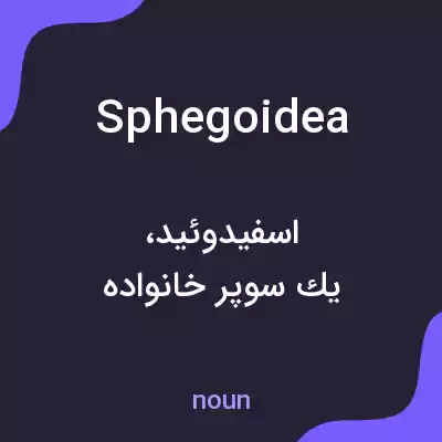 معنی sphegoidea به فارسی معنی sphegoidea به فارسی