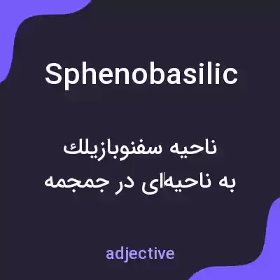معنی sphenobasilic به فارسی معنی sphenobasilic به فارسی
