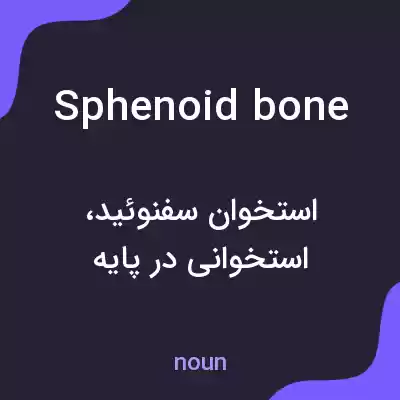معنی sphenoid bone به فارسی