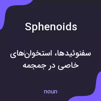 معنی sphenoids به فارسی معنی sphenoids به فارسی
