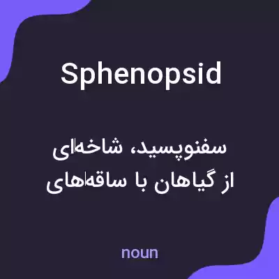 معنی sphenopsid به فارسی معنی sphenopsid به فارسی
