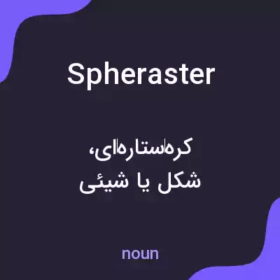 معنی spheraster به فارسی معنی spheraster به فارسی