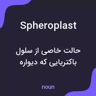 معنی spheroplast به فارسی معنی spheroplast به فارسی