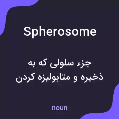 معنی spherosome به فارسی