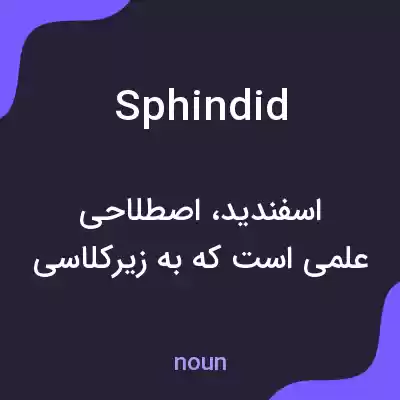 معنی sphindid به فارسی معنی sphindid به فارسی