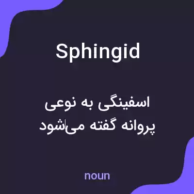 معنی sphingid به فارسی معنی sphingid به فارسی