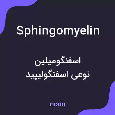 معنی sphingomyelin به فارسی معنی sphingomyelin به فارسی
