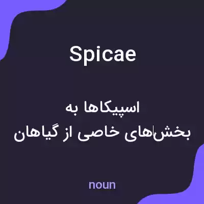 معنی spicae به فارسی معنی spicae به فارسی