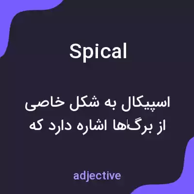 معنی spical به فارسی معنی spical به فارسی