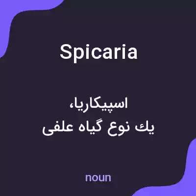 معنی spicaria به فارسی معنی spicaria به فارسی