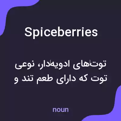 معنی spiceberries به فارسی معنی spiceberries به فارسی