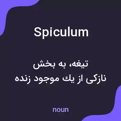 معنی spiculum به فارسی معنی spiculum به فارسی