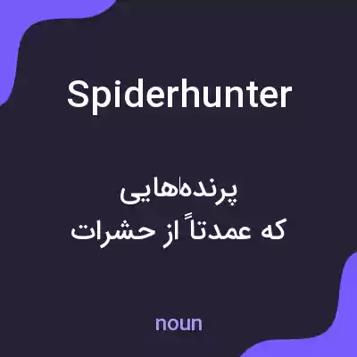 معنی spiderhunter به فارسی معنی spiderhunter به فارسی