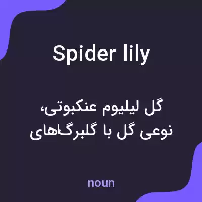 معنی spider lily به فارسی معنی spider lily به فارسی