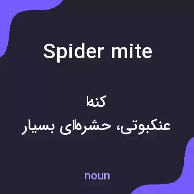 معنی spider mite به فارسی