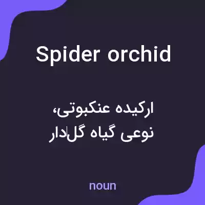 معنی spider orchid به فارسی معنی spider orchid به فارسی
