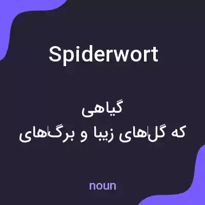 معنی spiderwort به فارسی