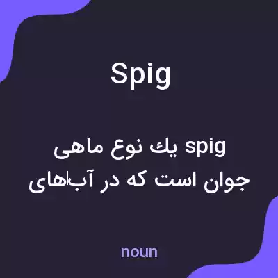 معنی spig به فارسی معنی spig به فارسی