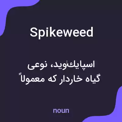 معنی spikeweed به فارسی معنی spikeweed به فارسی