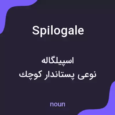 معنی spilogale به فارسی معنی spilogale به فارسی