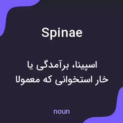 معنی spinae به فارسی