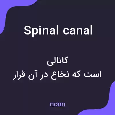 معنی spinal canal به فارسی معنی spinal canal به فارسی