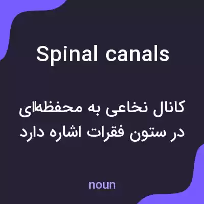 معنی spinal canals به فارسی