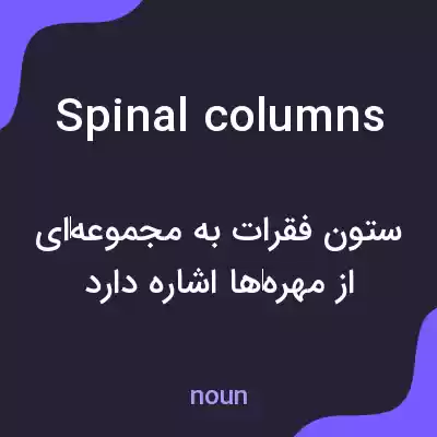 معنی spinal columns به فارسی معنی spinal columns به فارسی