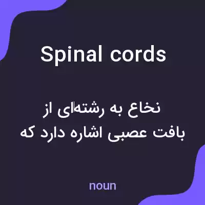 معنی spinal cords به فارسی معنی spinal cords به فارسی