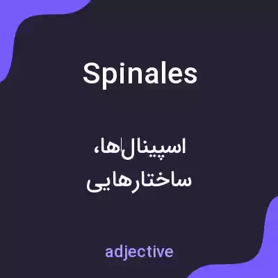 معنی spinales به فارسی معنی spinales به فارسی