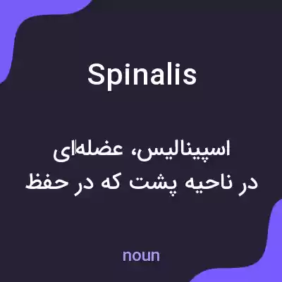 معنی spinalis به فارسی معنی spinalis به فارسی