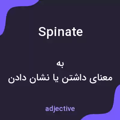 معنی spinate به فارسی معنی spinate به فارسی